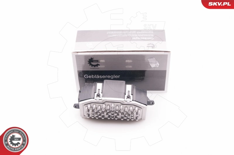Resistor, interior blower